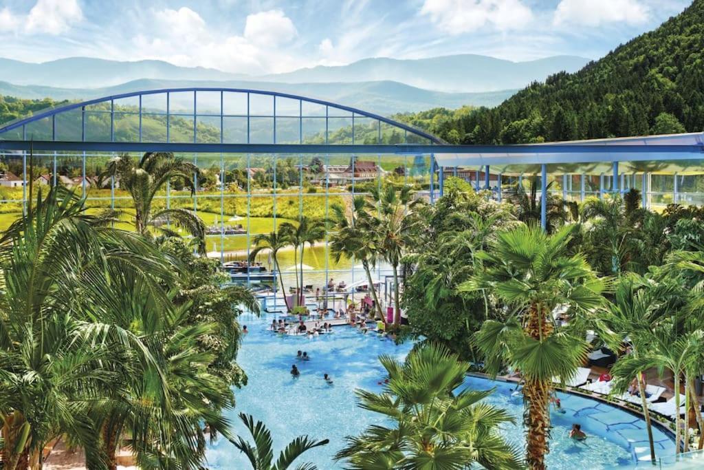 Sieben Tannen Titisee + Hochschwarzwald Card Titisee-Neustadt Exterior foto