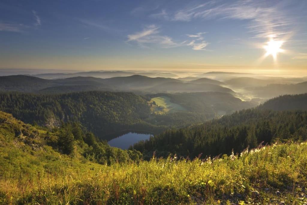 Sieben Tannen Titisee + Hochschwarzwald Card Titisee-Neustadt Exterior foto
